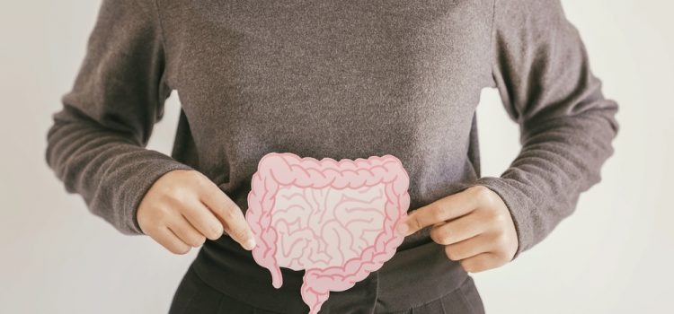 A Short Primer on How Probiotics Maintain Gut Health and Reduce Bloating